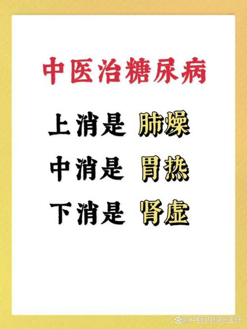 探索名老中医的智慧之光