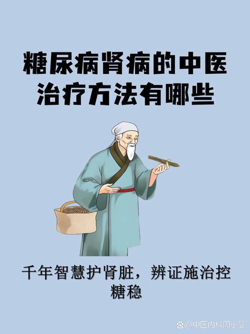 中医传承：聚焦名老中医的智慧与力量